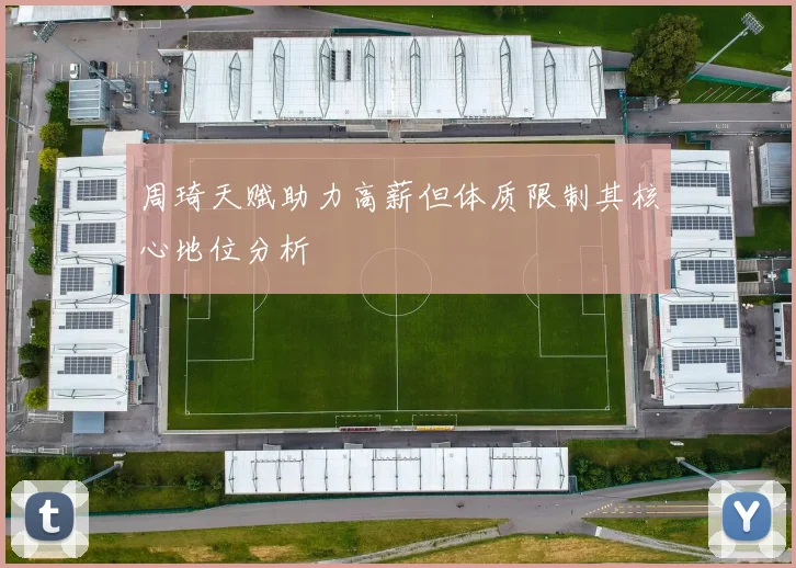 周琦天赋助力高薪但体质限制其核心地位分析